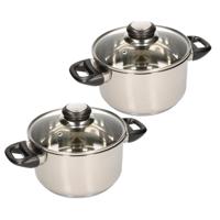 Kookpan met glazen deksel - 2x - diameter 20 cm - RVS - geschikt voor alle hittebronnen