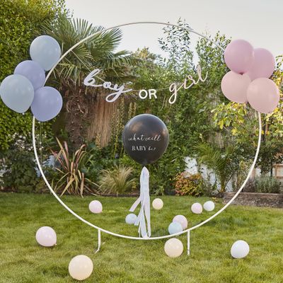 Gender Reveal Versiering Set &apos;What Will Baby Be?&apos;