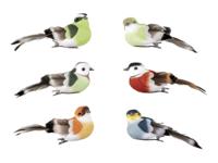 LIVARNO home 6 Decoratieklemmen (vogels naturalistisch kleurrijk)