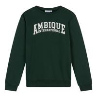 Ambique winter sweater jongens - Ivan - groen