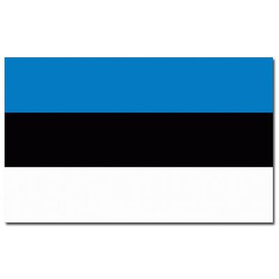 Vlag Estland 90 x 150 cm feestartikelen
