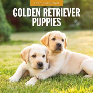 Golden Retriever Puppies Kalender 2026