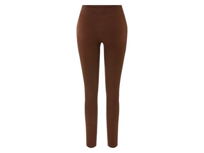 esmara Dames legging (S (36/38), Bruin)
