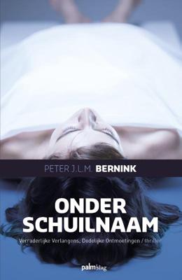 Onder schuilnaam (Paperback)
