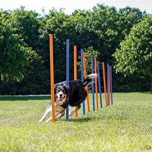 Trixie Trixie dog activity agility slalom stokken blauw / oranje