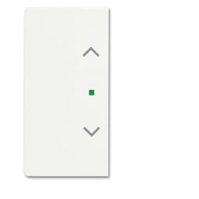 Busch-Jaeger 2CKA006220A0488 Afdekking 2-voudig free@home Verkeerswit, Wit 1 stuk(s)