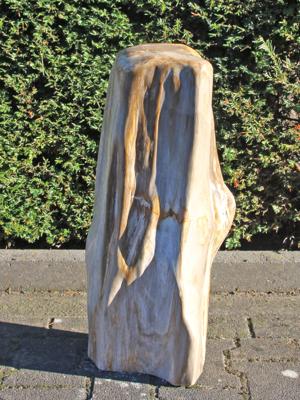 Versteend hout 250312, 60 cm