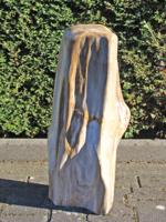 Versteend hout 250312, 60 cm
