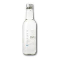 Earth Water koolzuurvrij glas (24x 33cl)