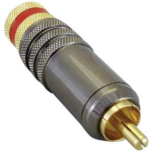 BKL Electronic 0101021 Cinch-connector Stekker, recht Aantal polen: 2 Rood 1 stuk(s)
