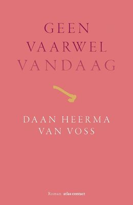 Geen vaarwel vandaag - Daan Heerma van Voss - ebook