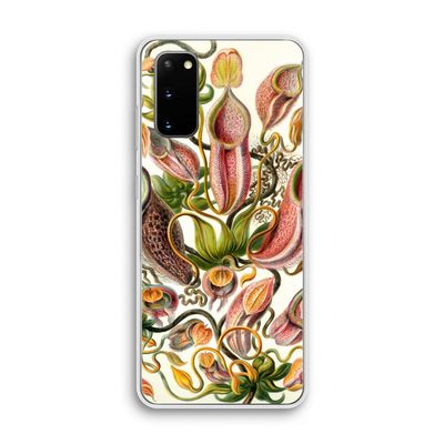 Haeckel Nepenthaceae: Samsung Galaxy S20 Transparant Hoesje
