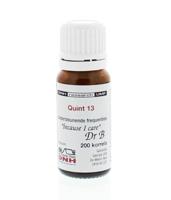 DNH Quint 13 BMYD 200 Stuks