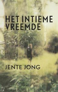 Het intieme vreemde - Jente Jong - ebook