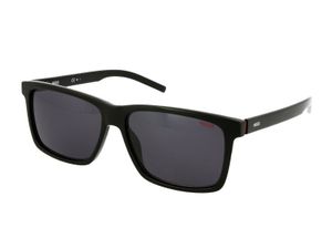 Zonnebrillen Hugo Boss HG 1013/S OIT/IR