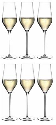Leonardo Champagneglazen Brunelli - 340 ml - 6 stuks