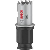 Bosch Home and Garden 2608594438 2608594438 Gatenzaag 17 mm 1 stuk(s)