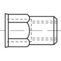 TOOLCRAFT TO-5380608 Popmoer M10 RVS 200 stuk(s)