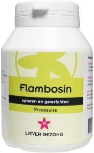 Liever Gezond Flambosin