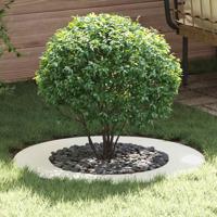 VidaXL Geschikt voor platte boomringen 5 pcs wit ø50 / 80 cm staal