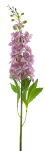 Nova Nature Delphinium spray Roland pink 87cm