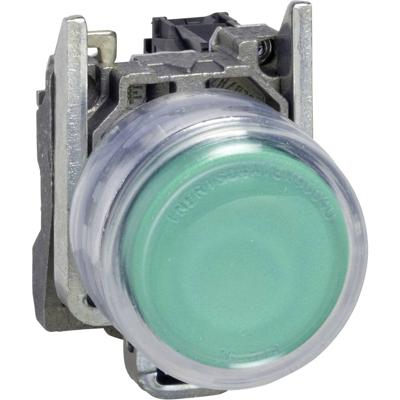 Schneider Electric XB4BP383G5EX XB4BP383G5EX Verlichte druktoets 600 V 6 A Moment 1 stuk(s)