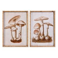 Schilderij DKD Home Decor Kristal 50 x 70 x 2,8 cm 50 x 2,8 x 70 cm Paddenstoel (2 Stuks)