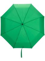 Mackintosh parapluie télescopique automatique Ayr - Vert