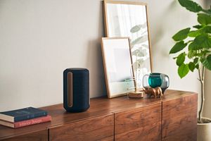 Sony SRSRA3000B.CEL draadloze multiroom speaker (zwart)