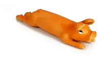Beeztees hondenspeelgoed Biggetje groot latex 38.5x11x8cm oranje