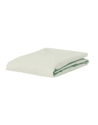 Essenza Premium Percale Hoeslaken Oyster