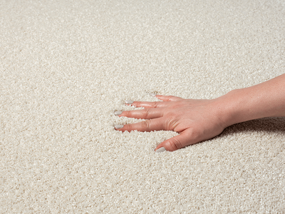 Karpet24 Vloerkleed Laagpolig Effen Cream -200 x 290 cm