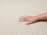 Karpet24 Vloerkleed Laagpolig Effen Cream -200 x 290 cm Karpet24 Vloerkleed Laagpolig Effen Cream -200 x 290 cm