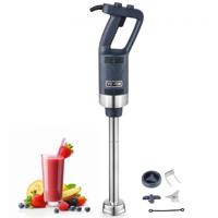 VEVOR Commerciële Handmixer Mengstaaf 500W Hoogwaardige Handmixer Soepsauzen