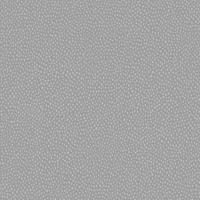 Dutch Wallcoverings Patagonia - Pinto - Grey