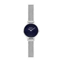 Horlogeband Skagen SKW3172 Mesh/Milanees Staal 8mm