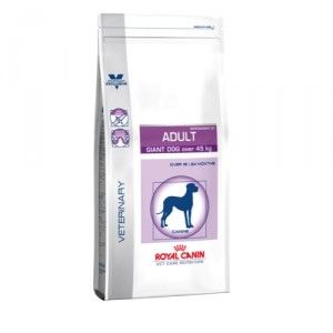 Royal Canin Adult Giant Volwassene Maïs, Gevogelte 14 kg Royal Canin Adult Giant Volwassene Maïs, Gevogelte 14 kg
