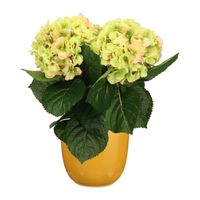 Hortensia kunstplant/kunstbloemen 36 cm - groen/roze - in pot okergeel glans - thumbnail