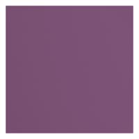 Florence • cardstock papier 216g textuur 30,5x30,5cm clematis 20x