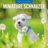 Miniatuur Schnauzer Kalender 2026