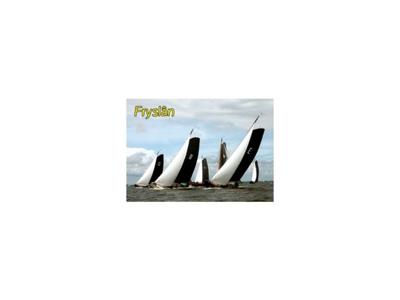 Magneet 3-D Friesland