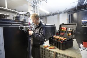 Wiha Gereedschapset elektricien Competence XL assorti 80-delig in koffer (40523)