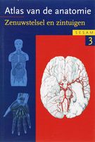 Sesam Atlas van de anatomie / 3 Zenuwstelsel en zintuigen - thumbnail