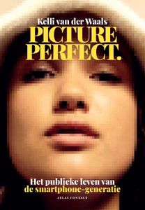 Picture perfect - Kelli van der Waals - ebook