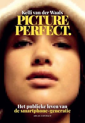 Picture perfect - Kelli van der Waals - ebook