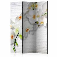 Vouwscherm - Orchidee op witte muur 135x172cm, gemonteerd geleverd (kamerscherm) dubbelzijdig geprint