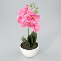 Orchidee in kunststof pot roze M - Oosterik Home