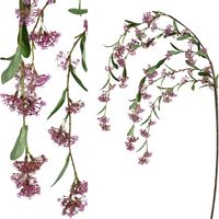 PTMD Blossom bloem pink hanging ixora - thumbnail