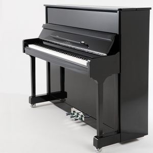 Oostendorp Digital Classic Basic II XT PE chroom
