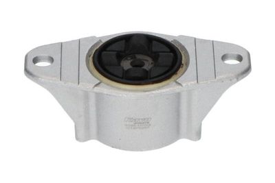Veerpoot SSM10168